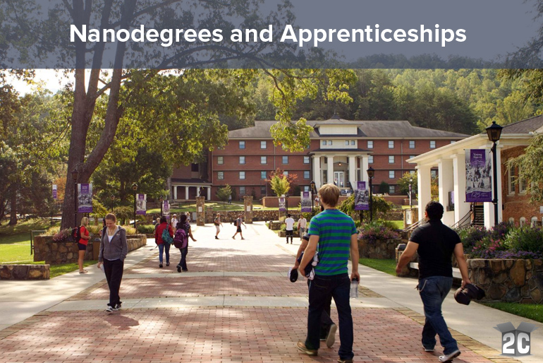 Nanodegrees and Apprenticeships