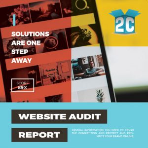 Website Audit