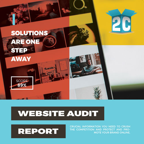 Website Audit